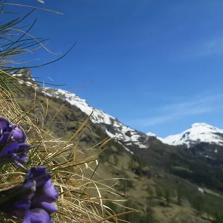 Monoloc. Bosco Delle Fate Apartamento San Domenico