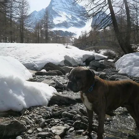 Apartamento Monoloc. Bosco Delle Fate San Domenico