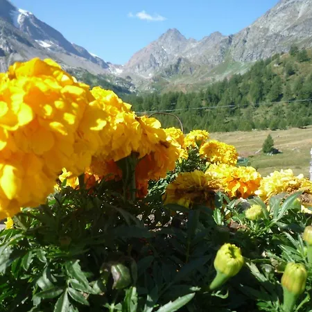Apartamento Monoloc. Bosco Delle Fate *