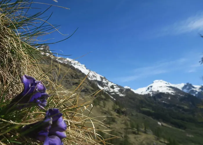 Monoloc. Bosco Delle Fate דירה סן דומניקו