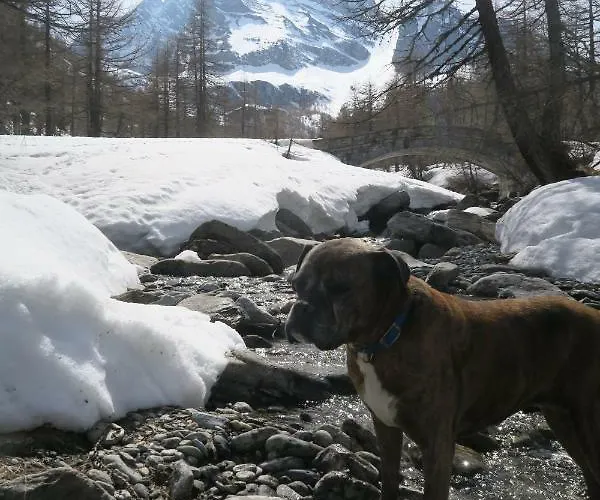 דירה Monoloc. Bosco Delle Fate סן דומניקו