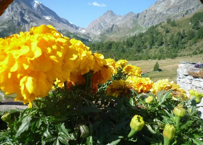 דירה Monoloc. Bosco Delle Fate *